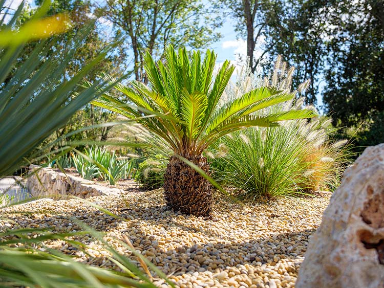 Création de jardin Néoules